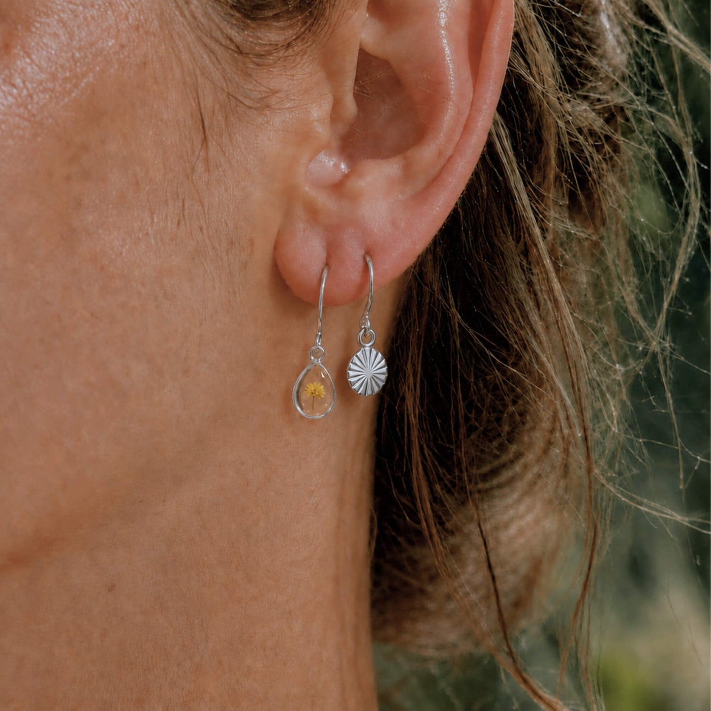 Wattle Drop Earrings Polished Steel