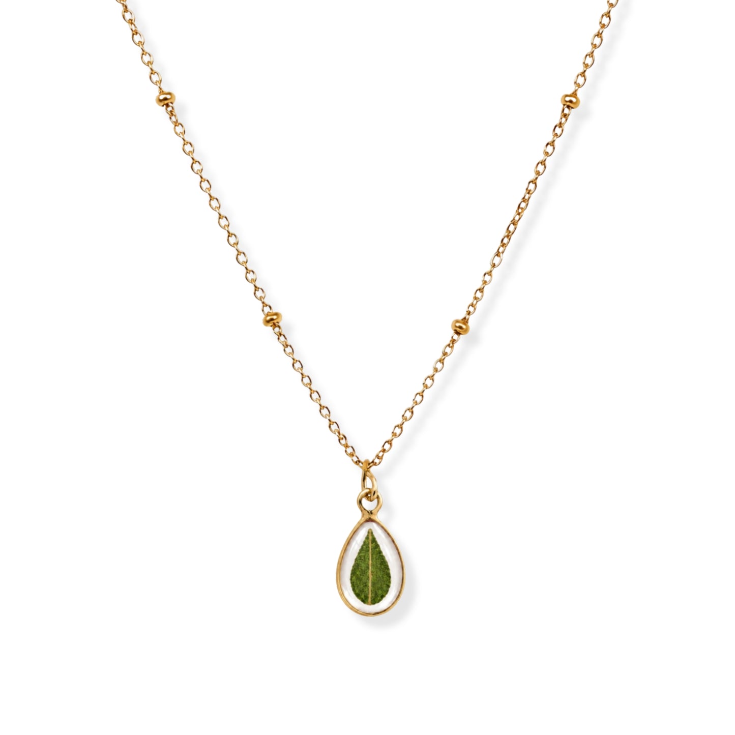 Eucalyptus Necklace 18K Gold