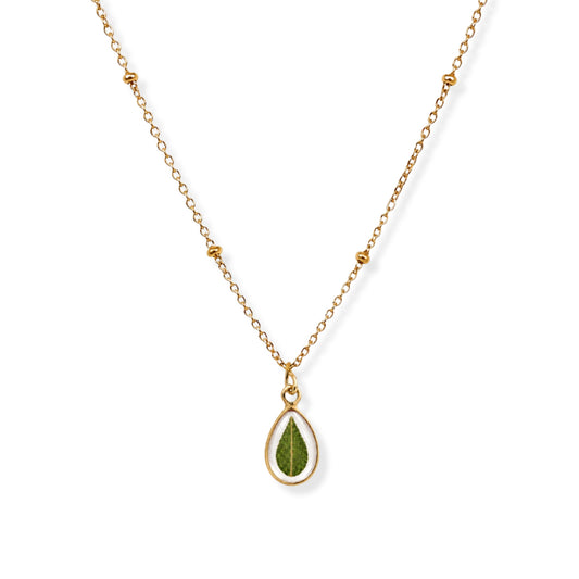Eucalyptus Necklace 18K Gold