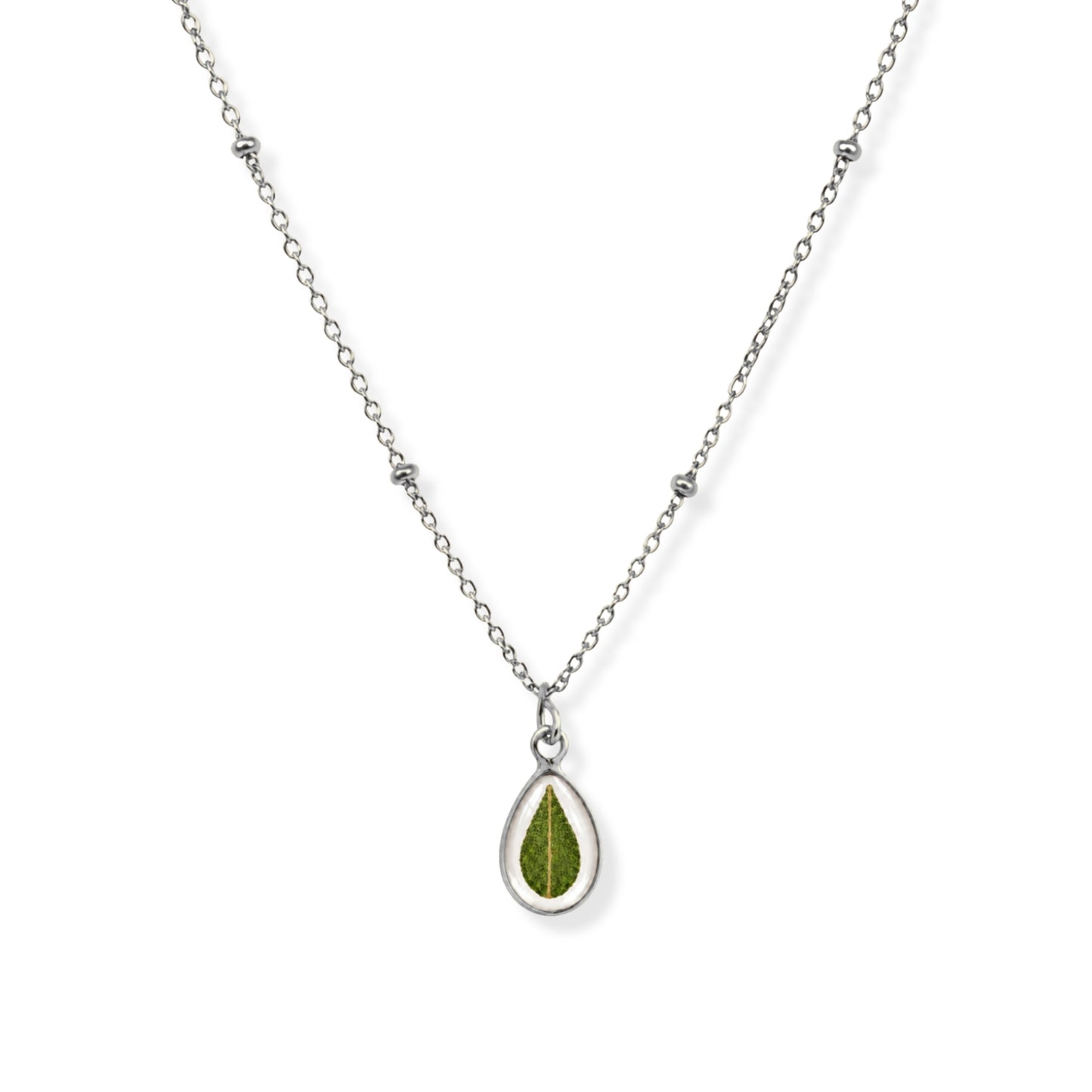 Eucalyptus Necklace Polished Steel