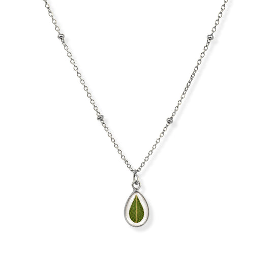 Eucalyptus Necklace Polished Steel