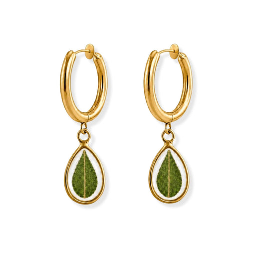 Eucalyptus Clip-On Hoop Earrings 18K Gold