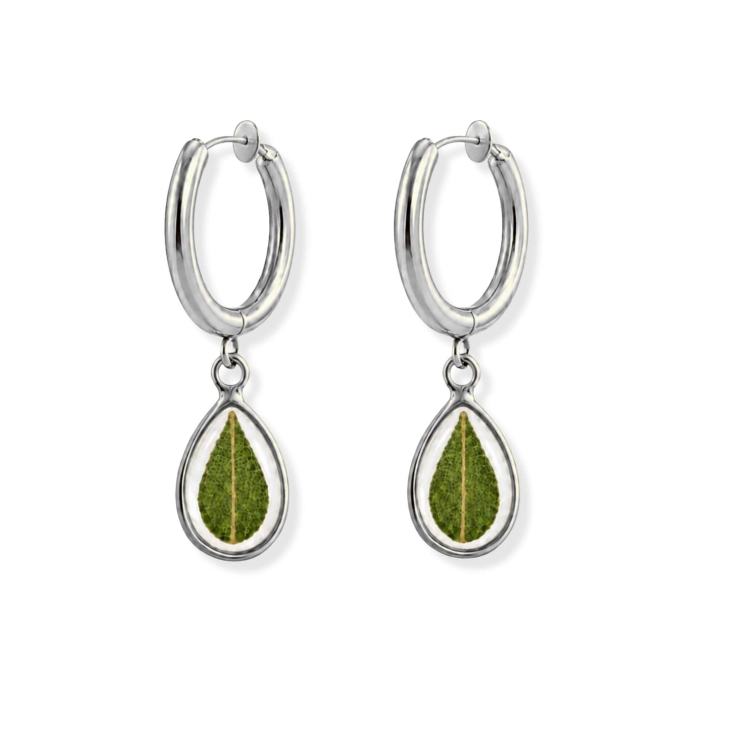 Eucalyptus Clip-On Hoop Earrings Polished Steel