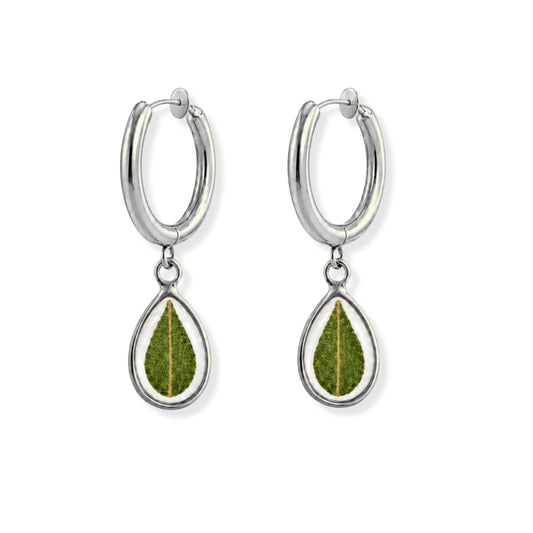 Eucalyptus Clip-On Hoop Earrings Polished Steel
