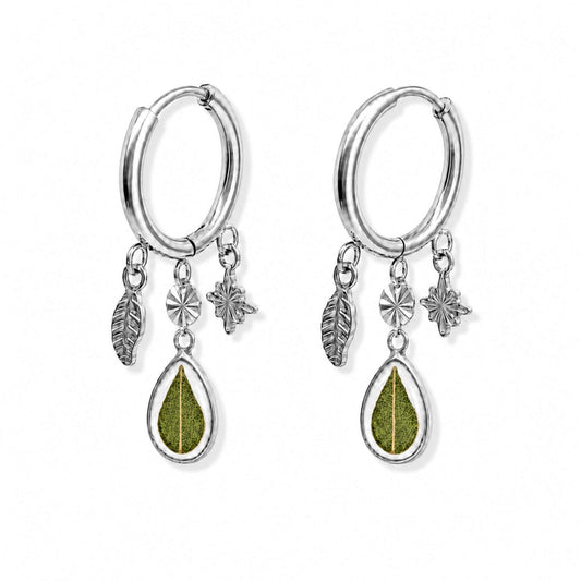 Eucalyptus Statement Hoop Earrings Polished Steel