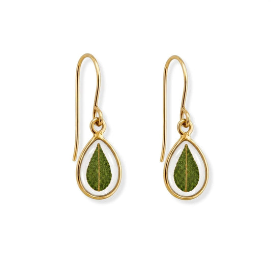Eucalyptus Drop Earrings 18K Gold