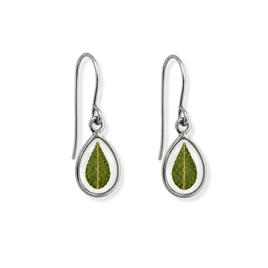 Eucalyptus Drop Earrings Polished Steel