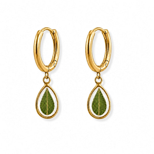 Eucalyptus Hoop Earrings 18K Gold