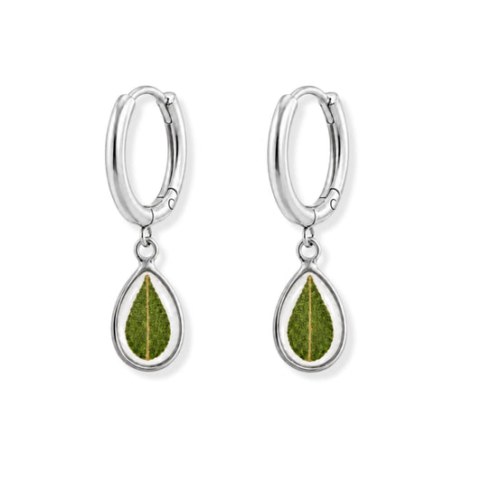 Eucalyptus Hoop Earrings Polished Steel