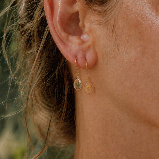 Wattle Flower & Leaf Drop Earrings 18k Gold