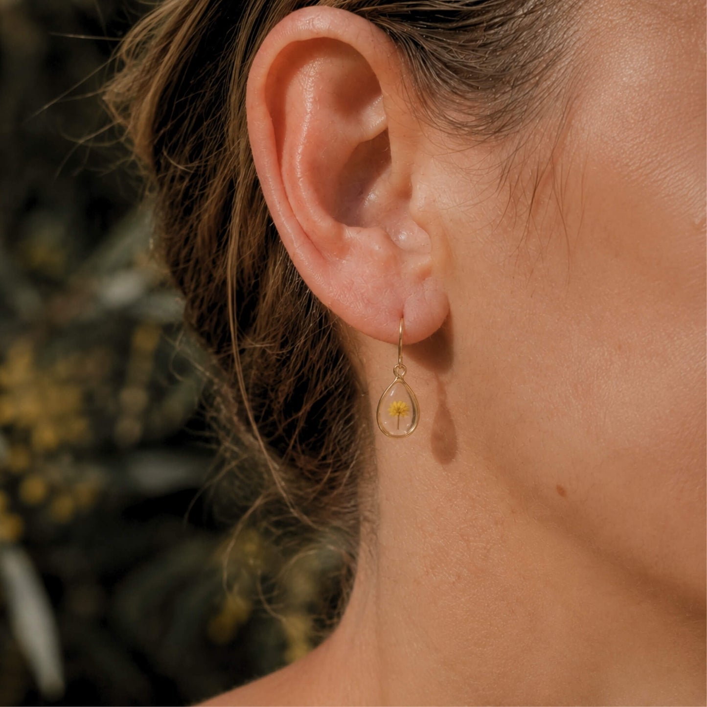 Wattle Drop Earrings 18K Gold