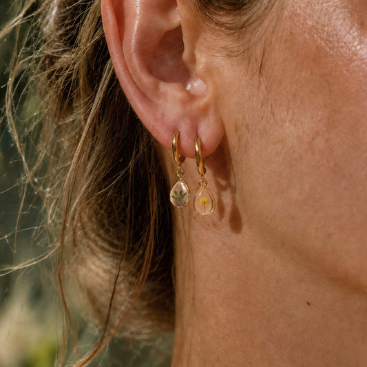 Wattle Flower & Leaf Hoop Earrings 18K Gold